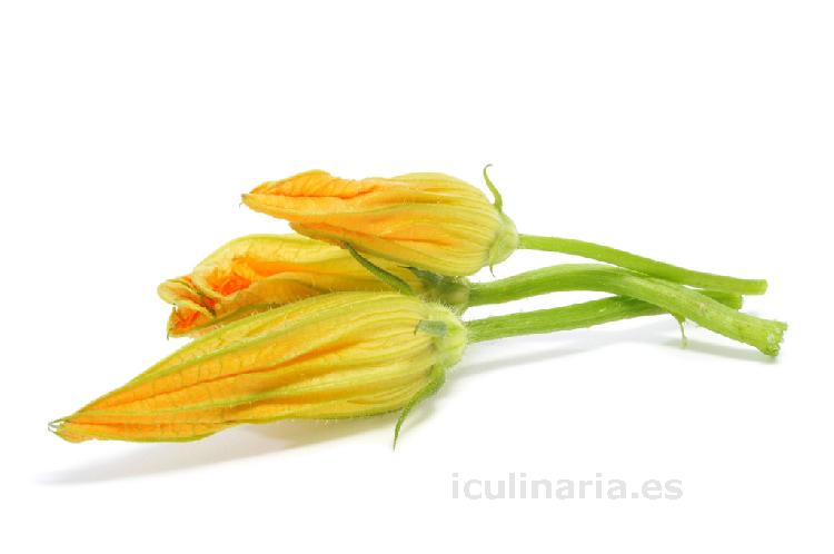 flor de calabacín | Innova Culinaria